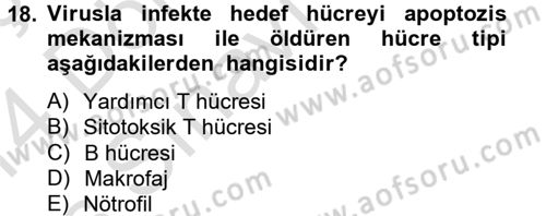Temel Veteriner Mikrobiyoloji ve İmmünoloji Dersi 2013 - 2014 Yılı Tek Ders Sınav Soruları 18. Soru