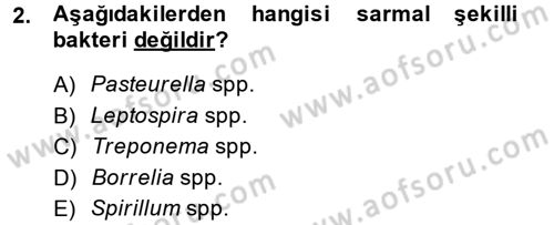 Temel Veteriner Mikrobiyoloji ve İmmünoloji Dersi 2013 - 2014 Yılı Tek Ders Sınav Soruları 2. Soru