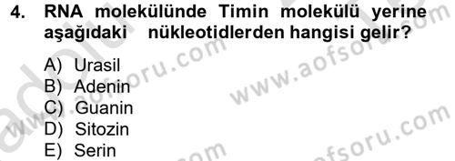 Temel Veteriner Mikrobiyoloji ve İmmünoloji Dersi 2013 - 2014 Yılı Tek Ders Sınav Soruları 4. Soru