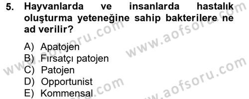 Temel Veteriner Mikrobiyoloji ve İmmünoloji Dersi 2013 - 2014 Yılı Tek Ders Sınav Soruları 5. Soru