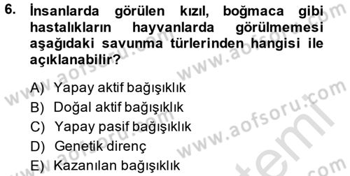 Temel Veteriner Mikrobiyoloji ve İmmünoloji Dersi 2013 - 2014 Yılı Tek Ders Sınav Soruları 6. Soru