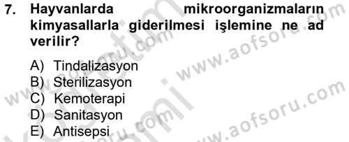Temel Veteriner Mikrobiyoloji ve İmmünoloji Dersi 2013 - 2014 Yılı Tek Ders Sınav Soruları 7. Soru