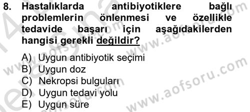 Temel Veteriner Mikrobiyoloji ve İmmünoloji Dersi 2013 - 2014 Yılı Tek Ders Sınav Soruları 8. Soru