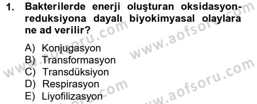 Temel Veteriner Mikrobiyoloji ve İmmünoloji Dersi 2014 - 2015 Yılı (Vize) Ara Sınav Soruları 1. Soru