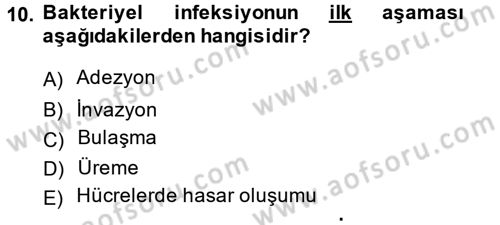 Temel Veteriner Mikrobiyoloji ve İmmünoloji Dersi 2014 - 2015 Yılı (Vize) Ara Sınav Soruları 10. Soru