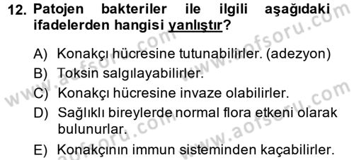 Temel Veteriner Mikrobiyoloji ve İmmünoloji Dersi 2014 - 2015 Yılı (Vize) Ara Sınav Soruları 12. Soru