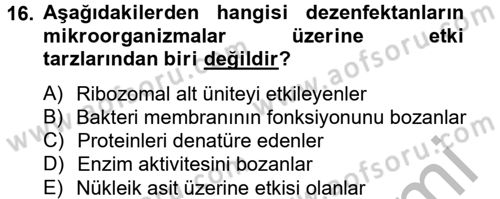 Temel Veteriner Mikrobiyoloji ve İmmünoloji Dersi 2014 - 2015 Yılı (Vize) Ara Sınav Soruları 16. Soru