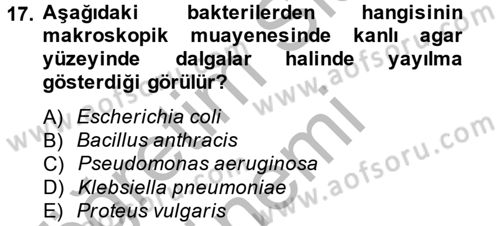Temel Veteriner Mikrobiyoloji ve İmmünoloji Dersi 2014 - 2015 Yılı (Vize) Ara Sınav Soruları 17. Soru