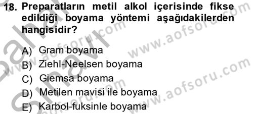 Temel Veteriner Mikrobiyoloji ve İmmünoloji Dersi 2014 - 2015 Yılı (Vize) Ara Sınavı 18. Soru