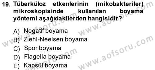 Temel Veteriner Mikrobiyoloji ve İmmünoloji Dersi 2014 - 2015 Yılı (Vize) Ara Sınav Soruları 19. Soru