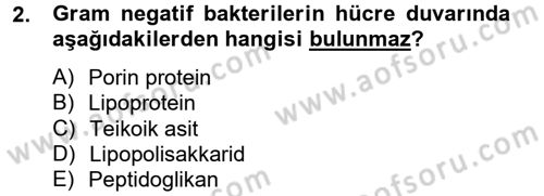 Temel Veteriner Mikrobiyoloji ve İmmünoloji Dersi 2014 - 2015 Yılı (Vize) Ara Sınav Soruları 2. Soru