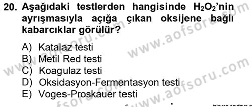 Temel Veteriner Mikrobiyoloji ve İmmünoloji Dersi 2014 - 2015 Yılı (Vize) Ara Sınav Soruları 20. Soru