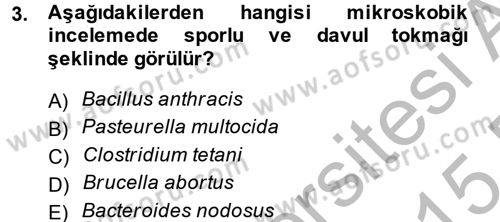 Temel Veteriner Mikrobiyoloji ve İmmünoloji Dersi 2014 - 2015 Yılı (Vize) Ara Sınav Soruları 3. Soru