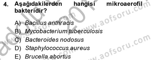 Temel Veteriner Mikrobiyoloji ve İmmünoloji Dersi 2014 - 2015 Yılı (Vize) Ara Sınav Soruları 4. Soru