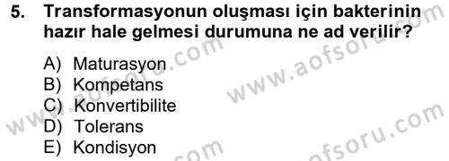 Temel Veteriner Mikrobiyoloji ve İmmünoloji Dersi 2014 - 2015 Yılı (Vize) Ara Sınav Soruları 5. Soru