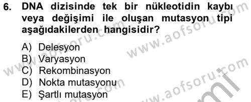 Temel Veteriner Mikrobiyoloji ve İmmünoloji Dersi 2014 - 2015 Yılı (Vize) Ara Sınav Soruları 6. Soru