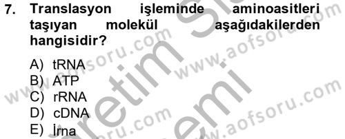 Temel Veteriner Mikrobiyoloji ve İmmünoloji Dersi 2014 - 2015 Yılı (Vize) Ara Sınav Soruları 7. Soru