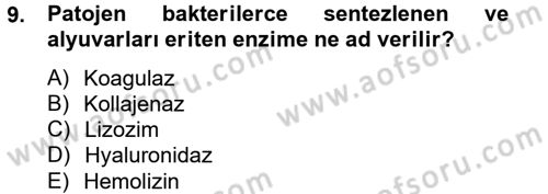 Temel Veteriner Mikrobiyoloji ve İmmünoloji Dersi 2014 - 2015 Yılı (Vize) Ara Sınav Soruları 9. Soru