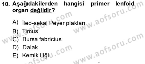 Temel Veteriner Mikrobiyoloji ve İmmünoloji Dersi 2014 - 2015 Yılı (Final) Dönem Sonu Sınav Soruları 10. Soru
