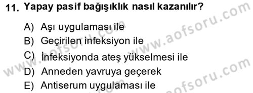 Temel Veteriner Mikrobiyoloji ve İmmünoloji Dersi 2014 - 2015 Yılı (Final) Dönem Sonu Sınav Soruları 11. Soru