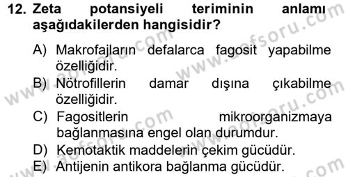 Temel Veteriner Mikrobiyoloji ve İmmünoloji Dersi 2014 - 2015 Yılı (Final) Dönem Sonu Sınav Soruları 12. Soru