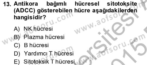 Temel Veteriner Mikrobiyoloji ve İmmünoloji Dersi 2014 - 2015 Yılı (Final) Dönem Sonu Sınav Soruları 13. Soru