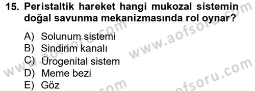 Temel Veteriner Mikrobiyoloji ve İmmünoloji Dersi 2014 - 2015 Yılı (Final) Dönem Sonu Sınav Soruları 15. Soru