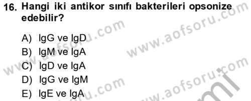 Temel Veteriner Mikrobiyoloji ve İmmünoloji Dersi 2014 - 2015 Yılı (Final) Dönem Sonu Sınav Soruları 16. Soru