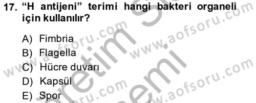 Temel Veteriner Mikrobiyoloji ve İmmünoloji Dersi 2014 - 2015 Yılı (Final) Dönem Sonu Sınav Soruları 17. Soru