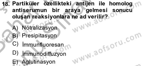 Temel Veteriner Mikrobiyoloji ve İmmünoloji Dersi 2014 - 2015 Yılı (Final) Dönem Sonu Sınav Soruları 18. Soru
