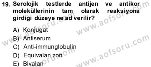 Temel Veteriner Mikrobiyoloji ve İmmünoloji Dersi 2014 - 2015 Yılı (Final) Dönem Sonu Sınav Soruları 19. Soru
