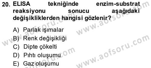 Temel Veteriner Mikrobiyoloji ve İmmünoloji Dersi 2014 - 2015 Yılı (Final) Dönem Sonu Sınav Soruları 20. Soru