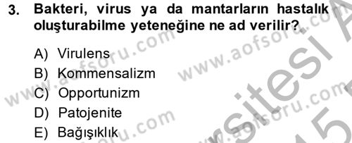 Temel Veteriner Mikrobiyoloji ve İmmünoloji Dersi 2014 - 2015 Yılı (Final) Dönem Sonu Sınav Soruları 3. Soru