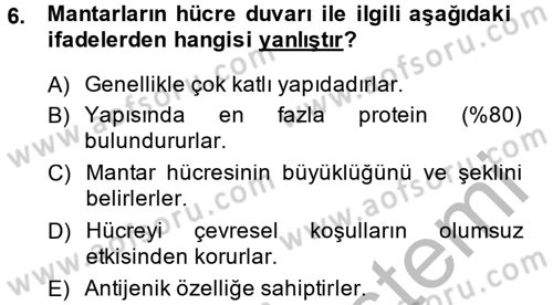 Temel Veteriner Mikrobiyoloji ve İmmünoloji Dersi 2014 - 2015 Yılı (Final) Dönem Sonu Sınav Soruları 6. Soru