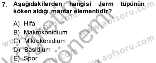 Temel Veteriner Mikrobiyoloji ve İmmünoloji Dersi 2014 - 2015 Yılı (Final) Dönem Sonu Sınav Soruları 7. Soru