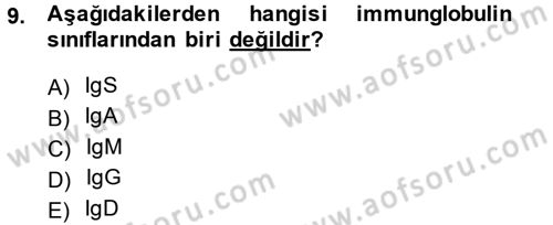 Temel Veteriner Mikrobiyoloji ve İmmünoloji Dersi 2014 - 2015 Yılı (Final) Dönem Sonu Sınav Soruları 9. Soru
