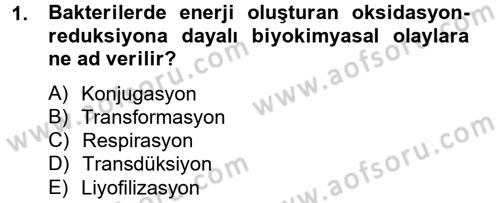 Temel Veteriner Mikrobiyoloji ve İmmünoloji Dersi 2014 - 2015 Yılı Tek Ders Sınav Soruları 1. Soru