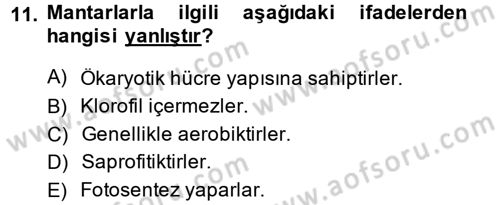 Temel Veteriner Mikrobiyoloji ve İmmünoloji Dersi 2014 - 2015 Yılı Tek Ders Sınav Soruları 11. Soru