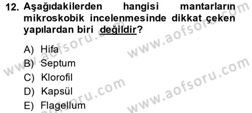 Temel Veteriner Mikrobiyoloji ve İmmünoloji Dersi 2014 - 2015 Yılı Tek Ders Sınav Soruları 12. Soru