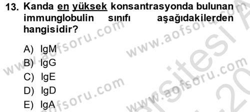 Temel Veteriner Mikrobiyoloji ve İmmünoloji Dersi 2014 - 2015 Yılı Tek Ders Sınav Soruları 13. Soru