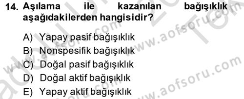 Temel Veteriner Mikrobiyoloji ve İmmünoloji Dersi 2014 - 2015 Yılı Tek Ders Sınav Soruları 14. Soru