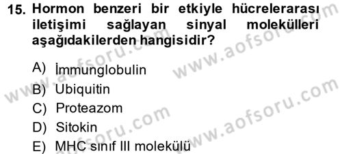 Temel Veteriner Mikrobiyoloji ve İmmünoloji Dersi 2014 - 2015 Yılı Tek Ders Sınav Soruları 15. Soru