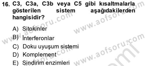 Temel Veteriner Mikrobiyoloji ve İmmünoloji Dersi 2014 - 2015 Yılı Tek Ders Sınav Soruları 16. Soru