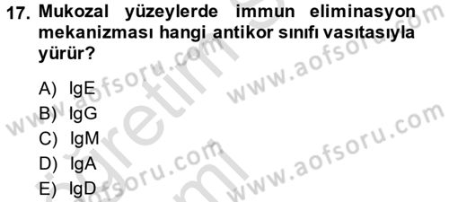 Temel Veteriner Mikrobiyoloji ve İmmünoloji Dersi 2014 - 2015 Yılı Tek Ders Sınav Soruları 17. Soru