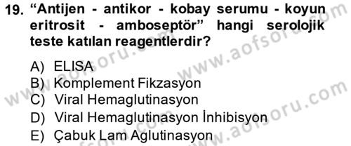 Temel Veteriner Mikrobiyoloji ve İmmünoloji Dersi 2014 - 2015 Yılı Tek Ders Sınav Soruları 19. Soru
