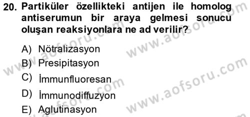 Temel Veteriner Mikrobiyoloji ve İmmünoloji Dersi 2014 - 2015 Yılı Tek Ders Sınav Soruları 20. Soru