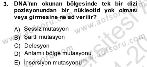 Temel Veteriner Mikrobiyoloji ve İmmünoloji Dersi 2014 - 2015 Yılı Tek Ders Sınav Soruları 3. Soru