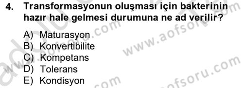 Temel Veteriner Mikrobiyoloji ve İmmünoloji Dersi 2014 - 2015 Yılı Tek Ders Sınav Soruları 4. Soru