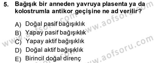 Temel Veteriner Mikrobiyoloji ve İmmünoloji Dersi 2014 - 2015 Yılı Tek Ders Sınav Soruları 5. Soru