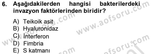 Temel Veteriner Mikrobiyoloji ve İmmünoloji Dersi 2014 - 2015 Yılı Tek Ders Sınav Soruları 6. Soru